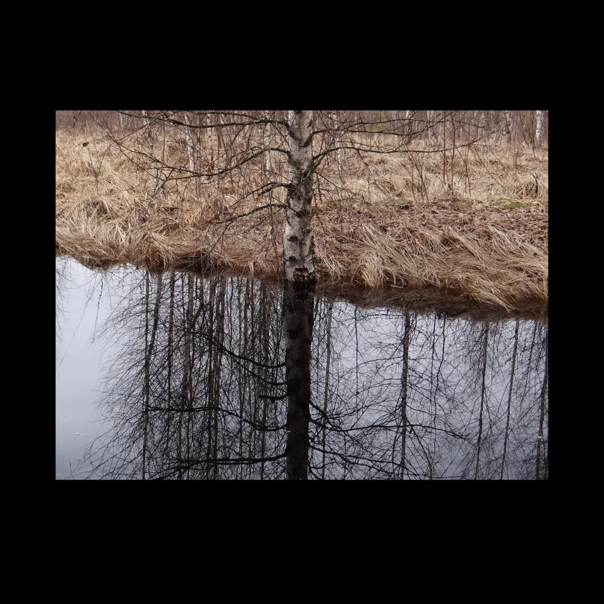 2, кадр 21