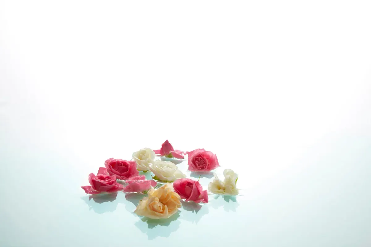 Jardin de Rosas, кадр 27