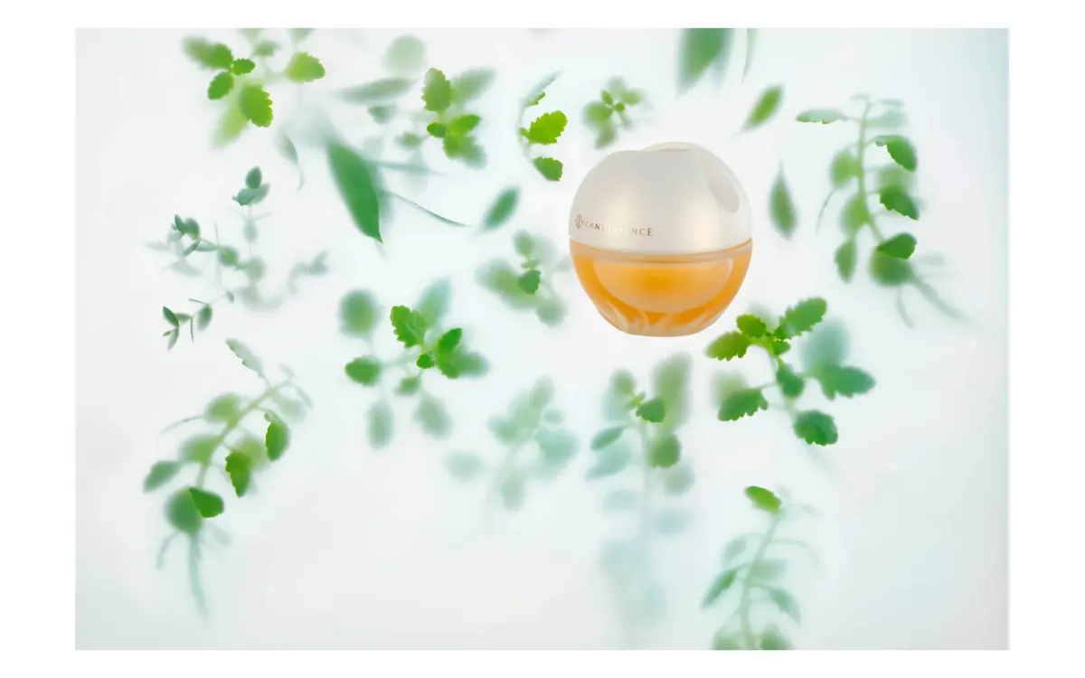 avon, кадр 9