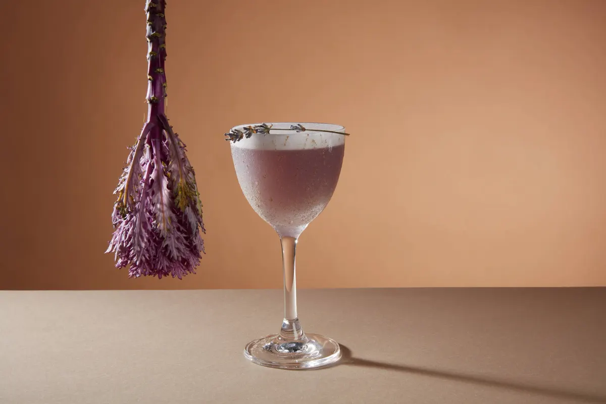 golovabar/testa, кадр 19
